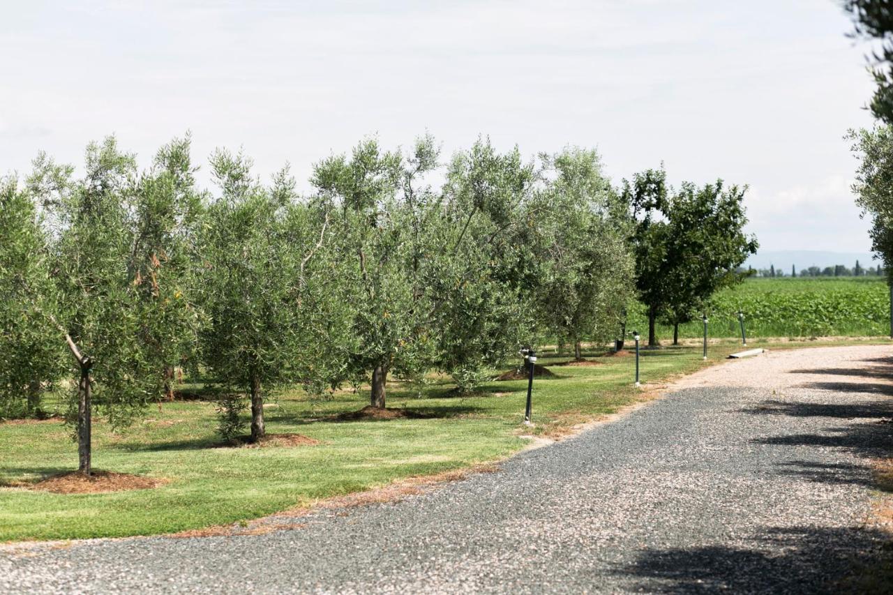 Agriturismo Valdo Grosseto Buitenkant foto