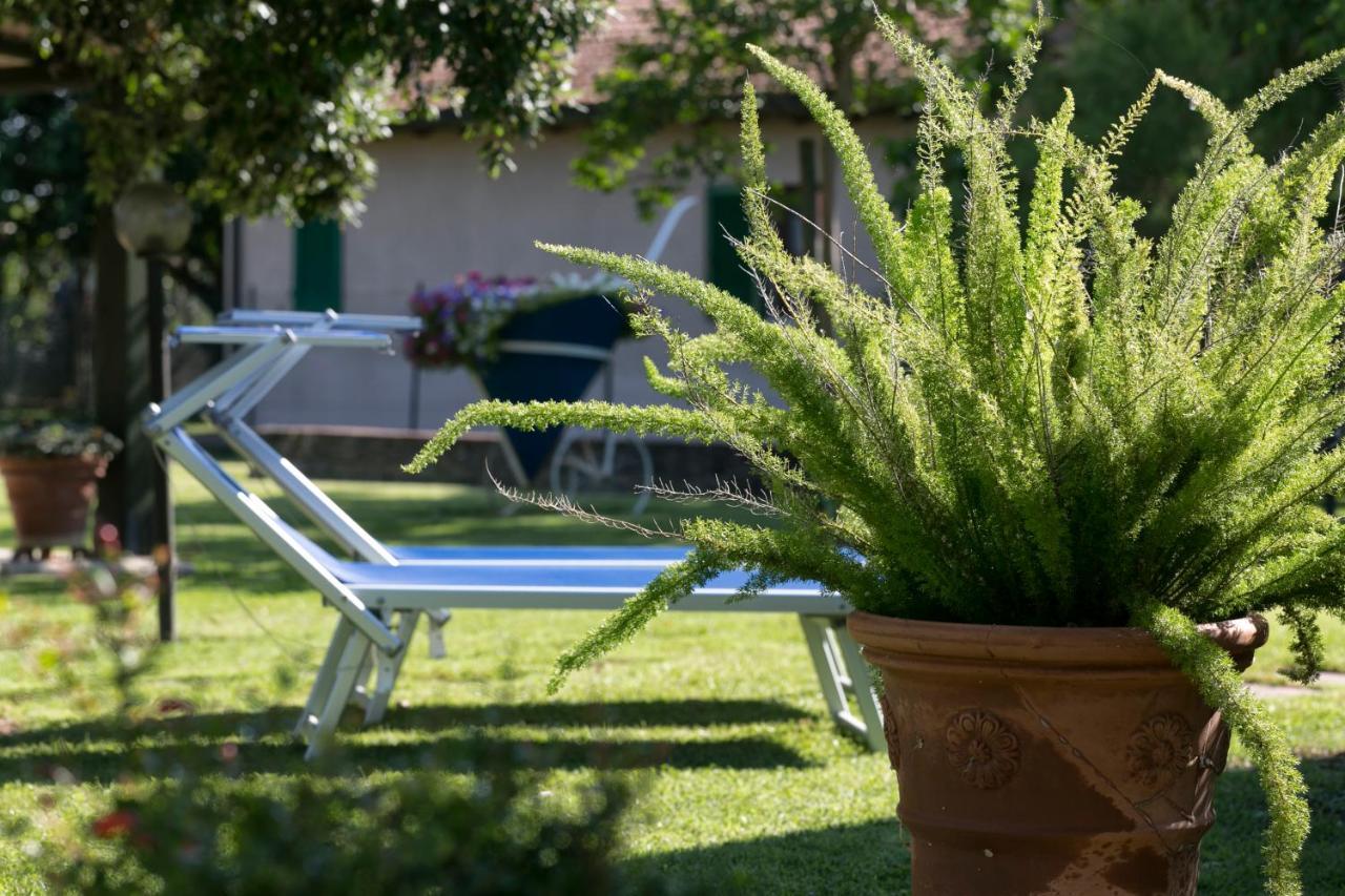 Agriturismo Valdo Grosseto Buitenkant foto