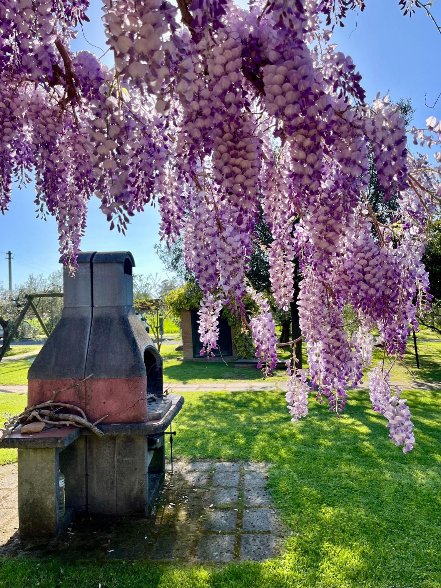 Agriturismo Valdo Grosseto Buitenkant foto