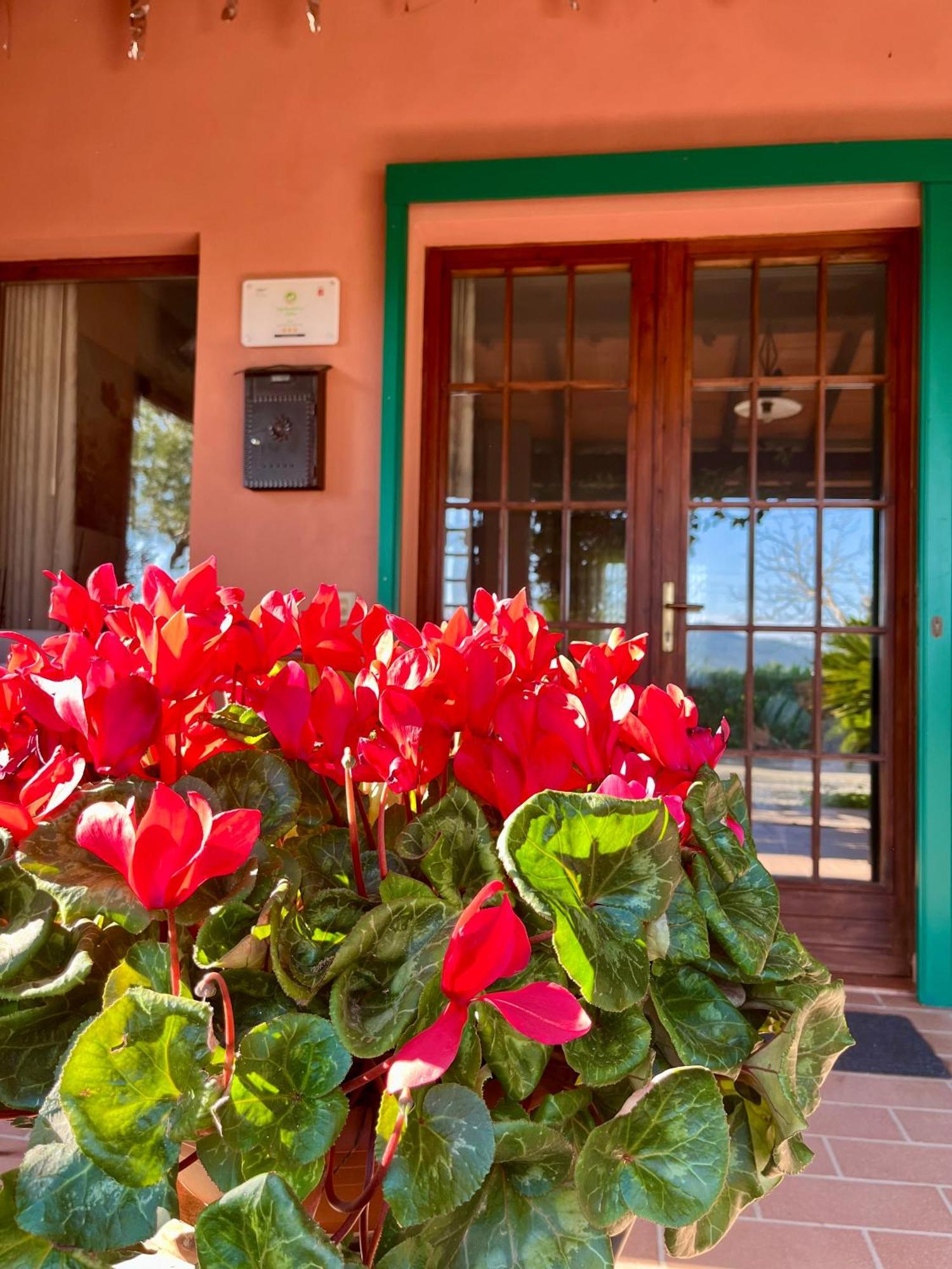 Agriturismo Valdo Grosseto Buitenkant foto