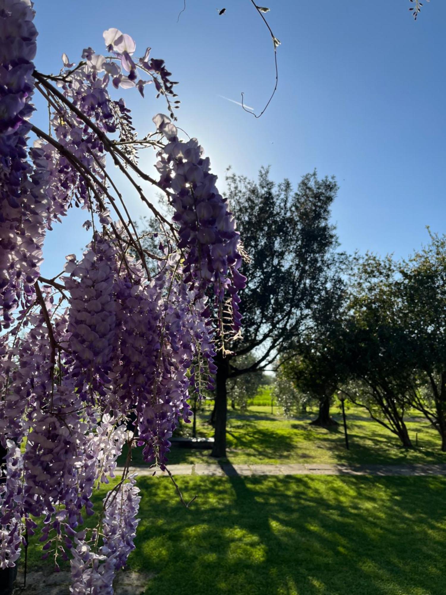 Agriturismo Valdo Grosseto Buitenkant foto