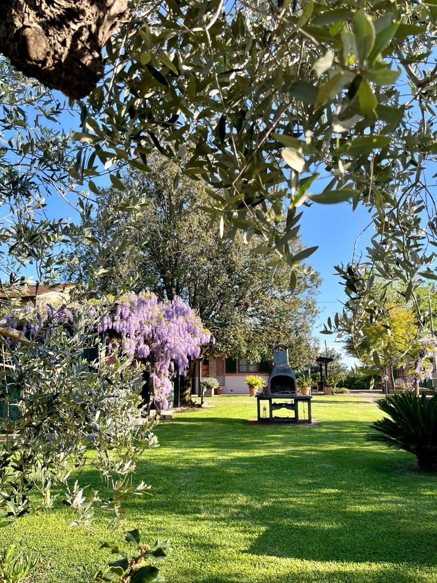Agriturismo Valdo Grosseto Buitenkant foto